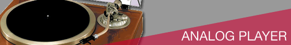 ANALOG �v���[���[