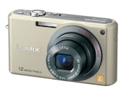 DMC-FX100