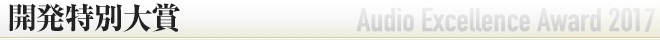 開発特別大賞