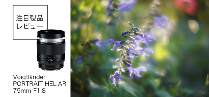 `ʂ{P݂ɑ芬\BtHNg_[uPORTRAIT HELIAR 75mm F1.8vʃr[
