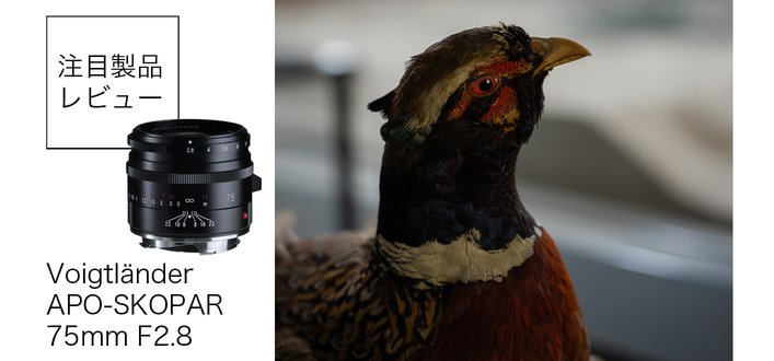 �S��44mm�̏��^�y�ʂȒ��]�������Y�A�t�H�N�g�����_�[�uAPO-SKOPAR 75mm F2.8�v���ʃ��r���[