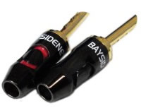 BSN-BNP-001