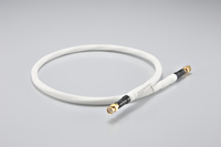 SARUM Digital RCA