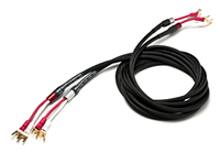 FD/SPEAKER CABLE
