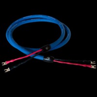 Clear Cygnus Xs[J[P[u