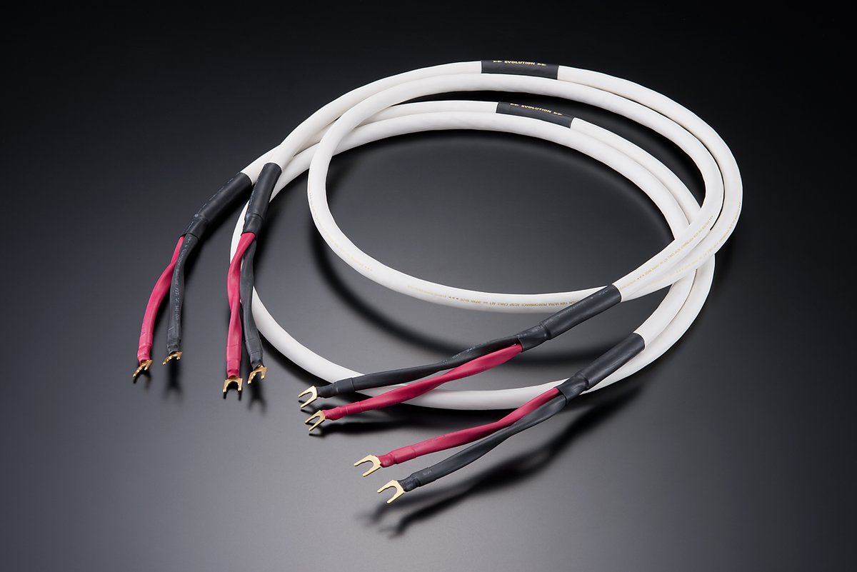 AET、“従来より太い”0.45mmのPVC導体採用スピーカーケーブル「EVO