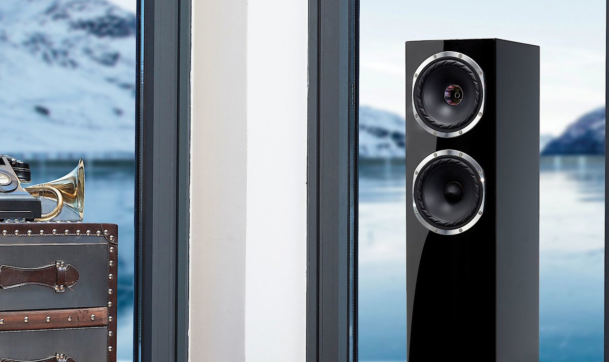 ②【美品】Fyne Audio F501SP 高級スピーカー SPモデル仕様 ②【美品】Fyne Audio F501SP 高級スピーカー SPモデル仕様