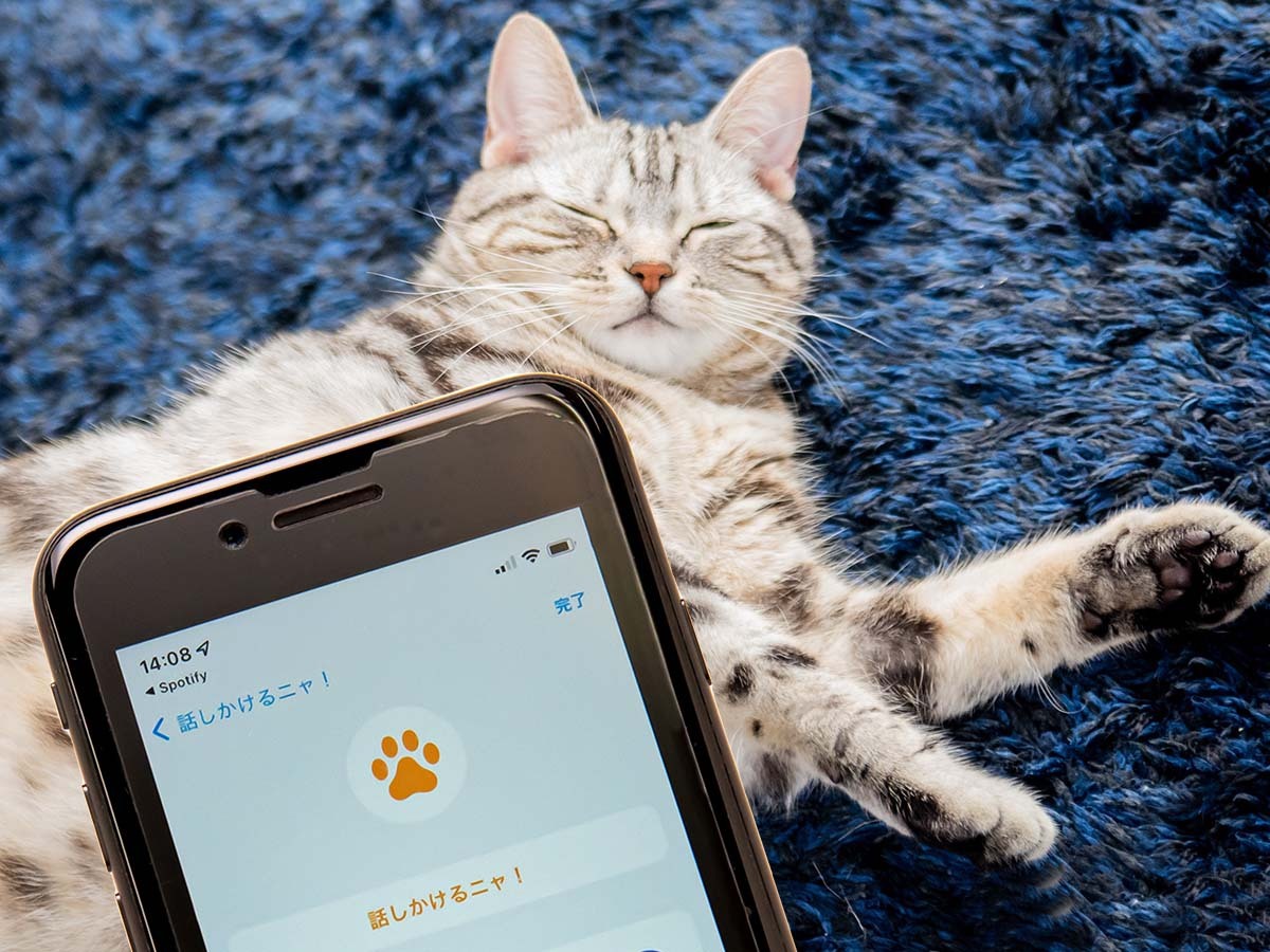 猫好きに朗報 Iphoneに肉球を表示できます Phile Web