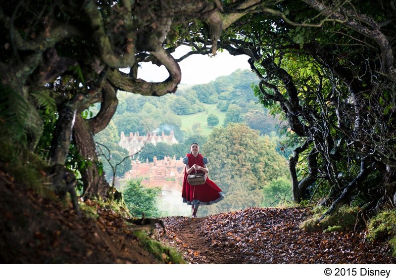 ディズニー イントゥ ザ ウッズ をbd化 日本語吹き替えなし Phile Web