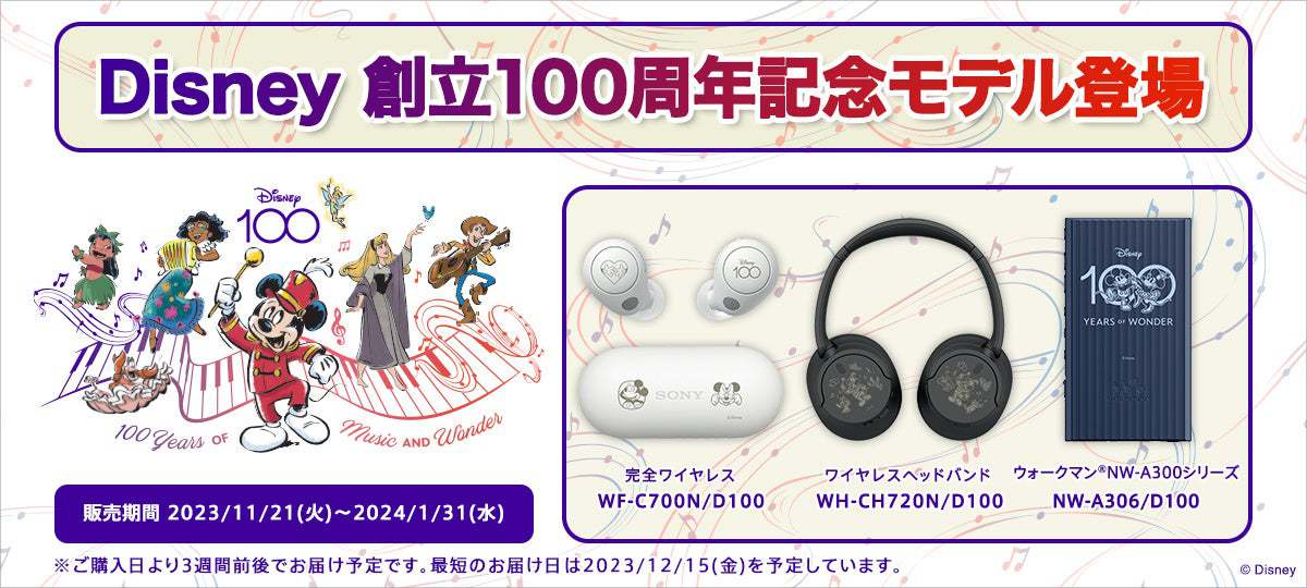 SONYウォークマン NW-A306スヌーピーモデル 特別な SNOOPY