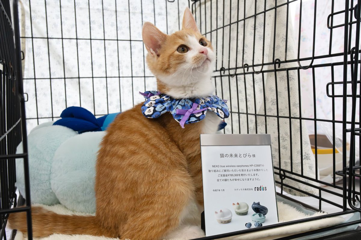ラディウス、猫イヤホンの売り上げから約79万円を保護猫支援団体に寄付