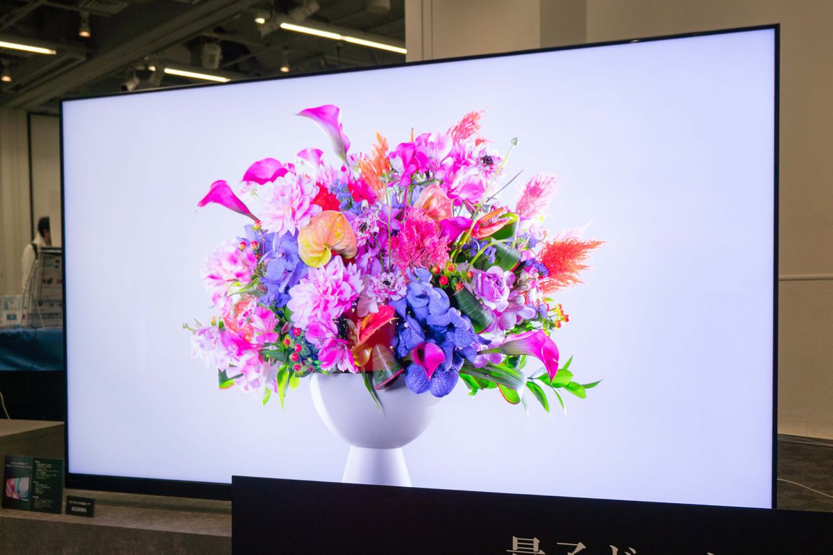 レグザ、AIエンジン「レグザエンジンZRα／ZR」搭載の4K Mini LED液晶