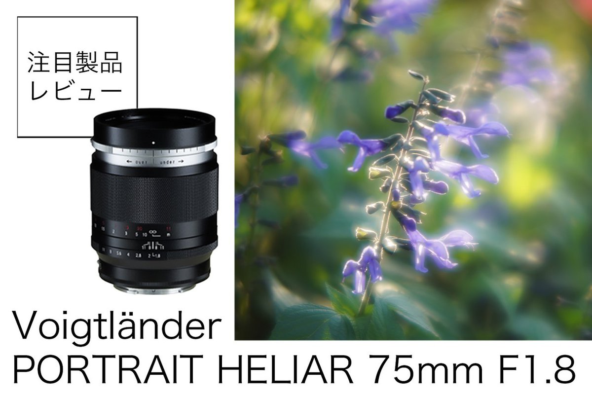 フォクトレンダー 75mm F1.8 VM 1320009 #3552 フォクトレンダー 75mm F1.8 VM 1320009 #3552の通販 by アカシック