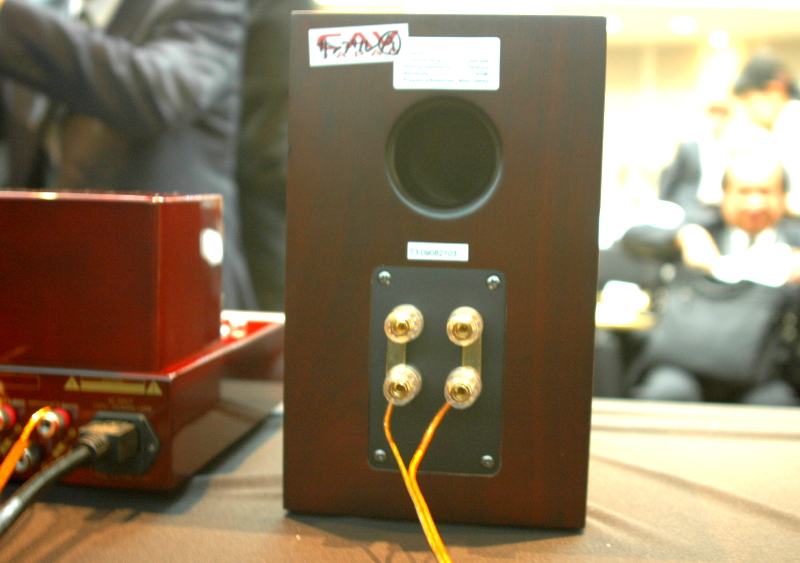 CAV VAZIO T-3 真空管アンプ スピーカーセット CAVジャパン