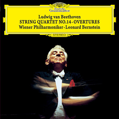 �o�[���X�^�C��