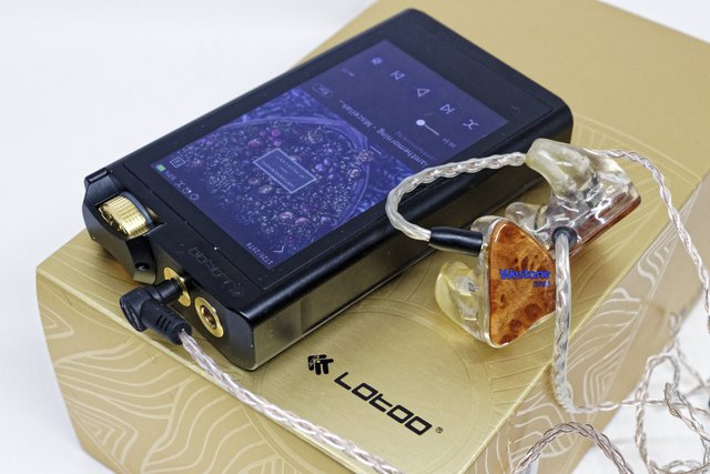 Lotoo Paw Gold Touch（韓国語版）