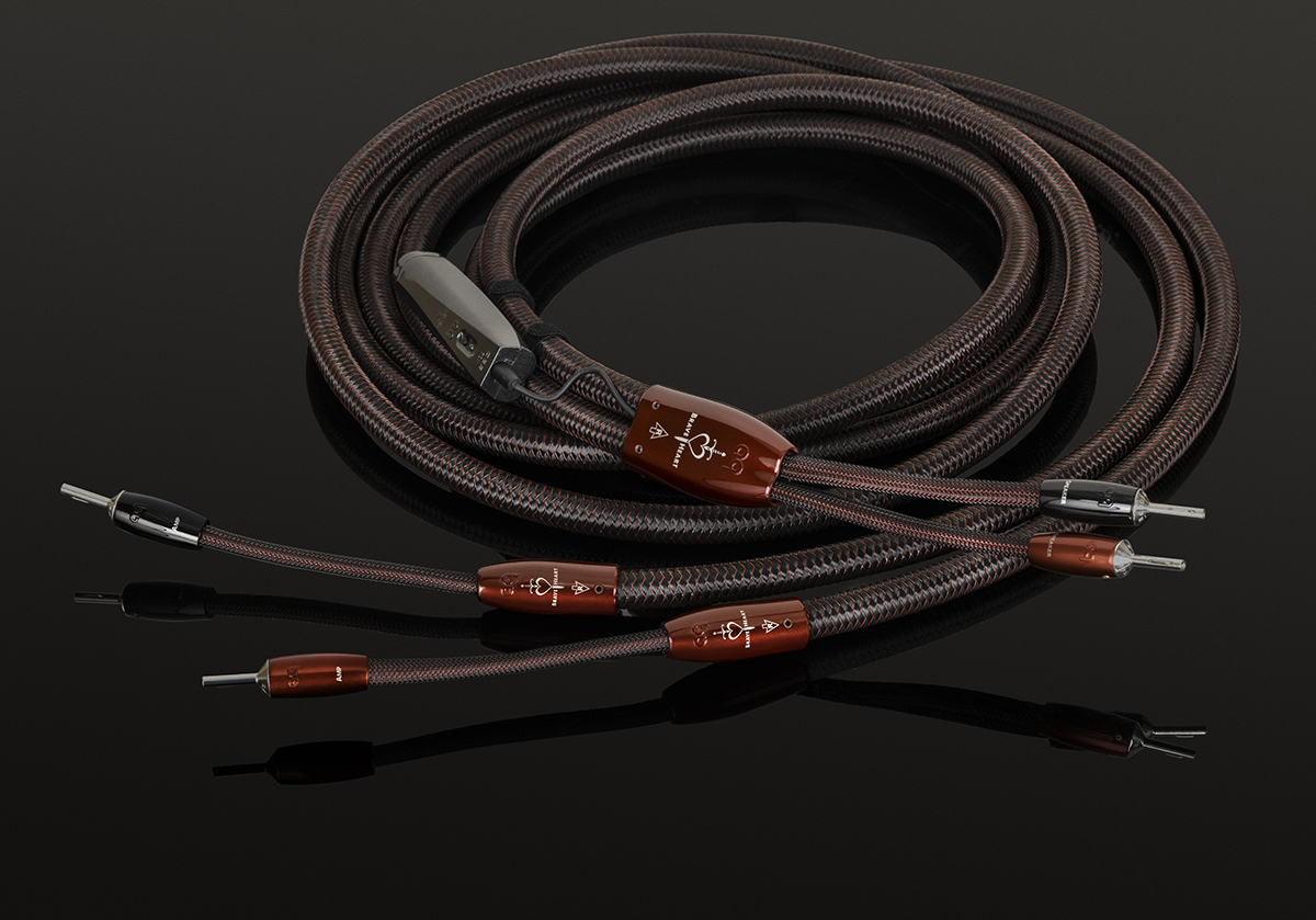 スピーカーケーブルが演奏の実在感を劇的に高める。“技術力”で