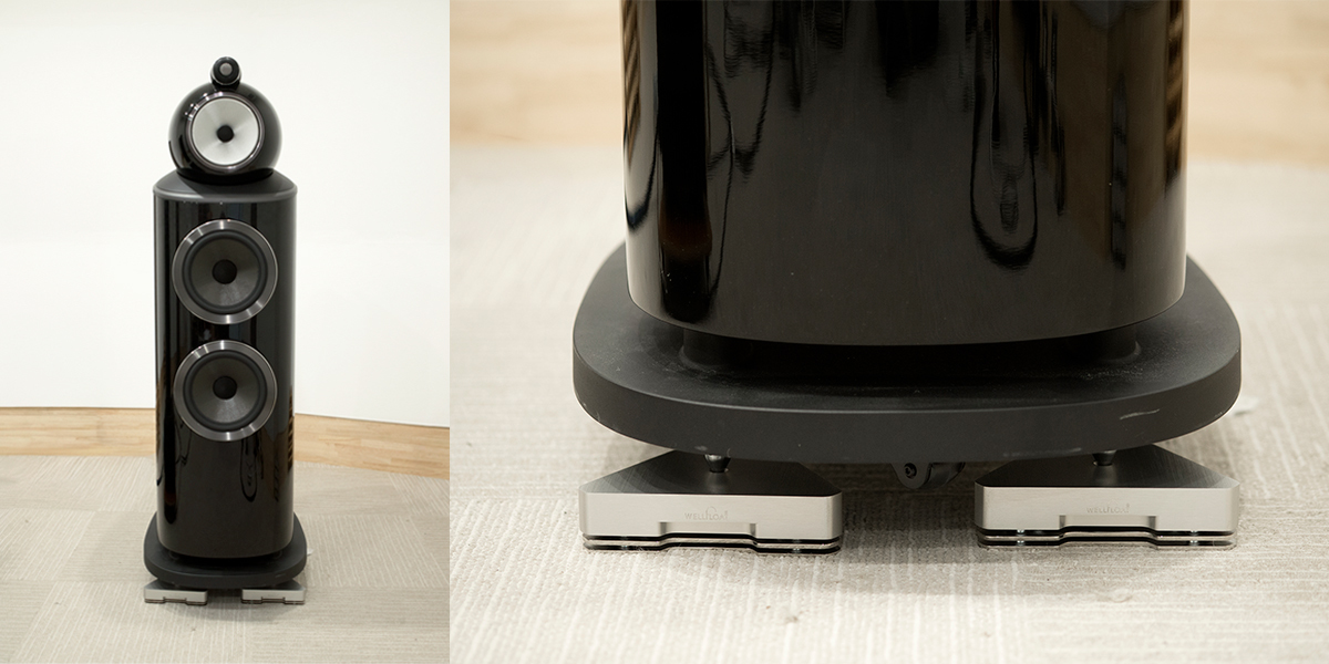 804 D4̉Basilis Uݒulq