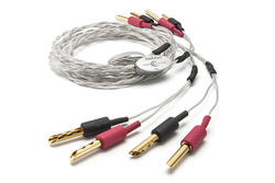 Astell&Kern�ACrystal Cable�ƃR���{�����f�X�N�g�b�v�����X�s�[�J�[�P�[�u��