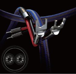 �y�P�[�u����S2019 �ŐV�L���`�������z�]�m�g�[���̍ŐV��u7NSPShupremeX�v�Ȃ�3���f�����ڂ������r���[