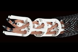 inakustik�A�󒆗����\������ʃ��f������p�������X�s�[�J�[�^RCA�P�[�u��