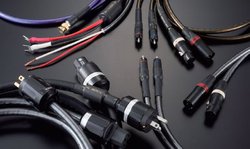 �y�P�[�u����S2019 �L���`�������z�uHSE�V���[�Y�v�ɑS�ʍ��V���ꂽ�e�B�O�����̍ŐV���C���i�b�v�����r���[