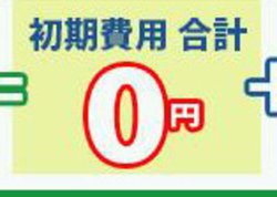 �~���[�W�b�N�o�[�h�A������p0�~�ŉ����ł���V�����^���v����