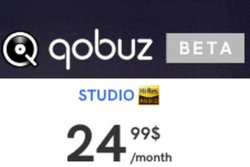 Qobuz�A�č��Ńn�C���]�X�g���[�~���O�̃��ł�񋟊J�n�B���z��25�h���ŃA���o��17������������