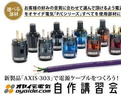 �I���C�f�d�C�A�d���P�[�u������u�K���3��30���ɏH�t���ŊJ��