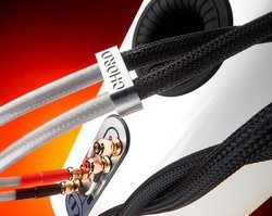 �A���_���e�����S�A�pCHORD�P�[�u���̈ꕔ��6��21�����l�グ