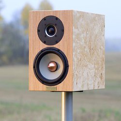 CS�t�B�[���h�A�uSIGNATURE�V���[�Y�v2���f����6��11�����啝�l�����B�t���A�^�Ȃ�58���~�I�t