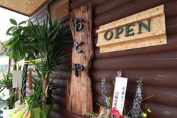 Xuv̐VX܂I[vBqlڐтI[fBIy݂Cɉ