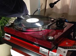 �����n�C�G���h���i�X�y�b�N�戵����XERXES�ŐV�@���Vienna acoustics�V�X�s�[�J�[����㏉�o��