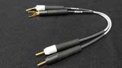 �t���[�����R�[�f�B�l�[�g�APIEGA�^Quadraspire���i�w���ŃA�N�Z�T���[�v���[���g�B5��31���܂�