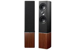 TANNOY�A�v���`�i���V���[�Y�̃t���A�^�X�s�[�J�[�uPlatinum F6�v�B�u�b�N�V�F���t��