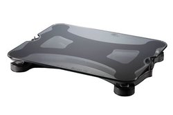 SAP�A�ő�50kg�Ή��̎��C���V�I�[�f�B�I�{�[�h�uRELAXA 750�v