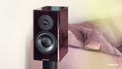 DYNAUDIO�A40���N�L�O�X�s�[�J�[�uSpecial Forty�v�̍Đ��Y������B�V�d�グ�ŉ��i�͐����u��