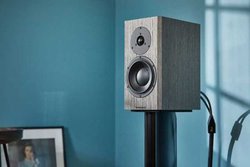 DYNAUDIO�A����I�[�f�B�I�R�A�ō��T����������J�ÁBContour i��Special Forty���o��