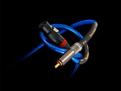 ZonotoneP[u31ʂƐ ANZT[؃LO11