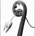 �w�G���Eanalog�x�\���B�e�̃J�����}�� �n�ꓹ�_���̍�i�W �uMW�v�A3/2���J��