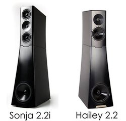 V}ZAYG ACOUSTICSuSonja 2.2iv̎7/24-25ɊJ