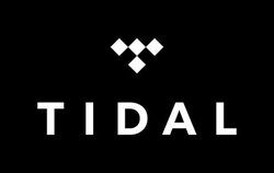 TIDAL�A�X�}�z�A�v����ŉ̎��\���ɑΉ�