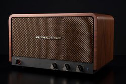 AIRPULSE�A�gAir-Blade�h�g�D�C�[�^�[���ڂ�Bluetooth�X�s�[�J�[�uP100X�v