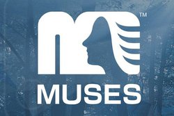 日清紡マイクロデバイス、「MUSES」シリーズ初の高音質電源ICの開発を開始
