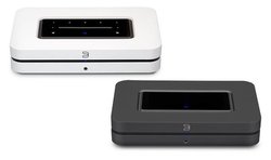 Bluesound�A�l�b�g���[�N�X�g���[�}�[�uNODE�v��USB AUDIO 2.0�o�͂ɑΉ�