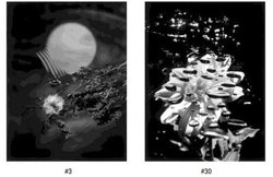 �ʐ^�ƁA�������ꎁ�̍�i�W�u�������ԁv��5��31�����JCII�t�H�g�T�����ŊJ��