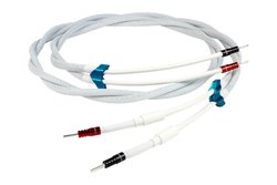 A_eSA9/1lグBЃuhɉR[hEJpj[HANNLi