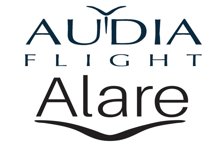 �A�C���b�N�X�AAUDIA FLIGHT�Ȃ�т�Alare�̉��i����𔭕\�B���ޗ��̉��i�����ɔ���