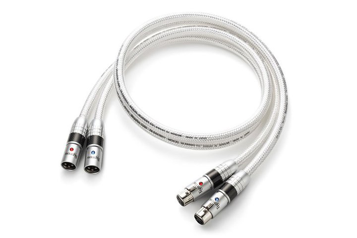 G\ebNAI[fBIP[ui41lグ