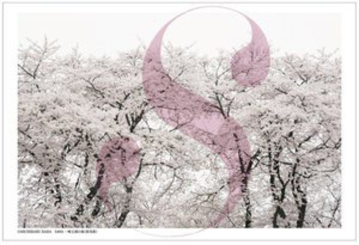 �u�G���A�i���O�v���̕\�����S������ʐ^�ƁA�n�ꓹ�_���ʐ^�W���J�ÁB3��20������